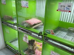 -唐小姐の猫狗洗护·购宠旗舰店(周浦万达店)