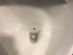 -慕尼黑国际机场