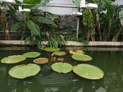 -国家植物园南园