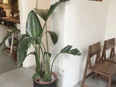 -知亘茶食