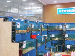 水产区-君港海鲜(三亚湾店)