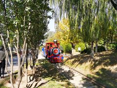 -永定河休闲森林公园