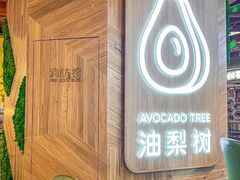 -油梨树AVOCADO TREE(嘉里中心店)