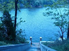 -延庆观炸鸡(淮北街总店)