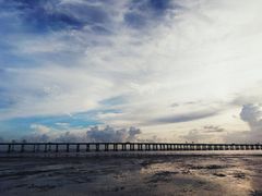 -宝安西湾红树林湿地公园