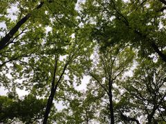 -WeLope紫金山探险公园