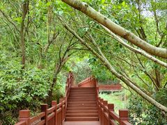 -广州白江湖森林公园