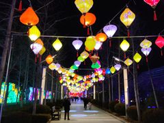 -南宫五洲植物乐园