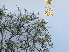 -青桃餐厅