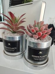 -Coo Hair salon