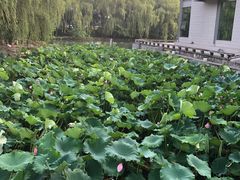 -绍兴鉴湖君澜大酒店