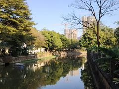 -晓港公园