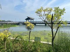 -阳澄湖半岛旅游度假区