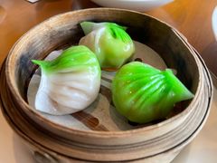 -广州富力君悦大酒店空中花园