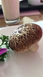 -金月汇月子会所(常宁宫生态店)