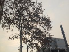 -陕西省人民医院(主院区)