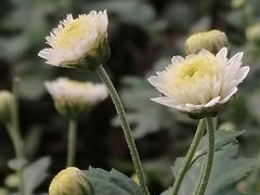 -isee心呈·度假酒店(春熙路店)