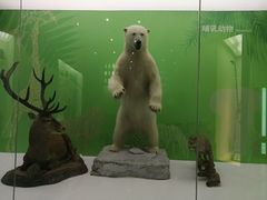 -国家自然博物馆