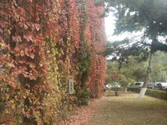 -辽宁大学(崇山校区)