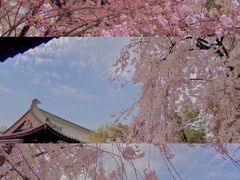 -西安青龙寺遗址景区