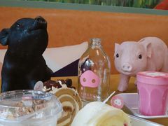 -WHEN PIGS FLY当猪飞
