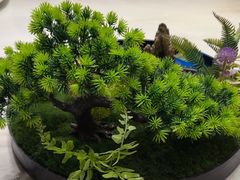 -陶缘一号·四季缘·老字号顺德菜·户外婚礼家宴(西滘店)