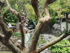 -同得兴 Since·1995 传统苏式面馆(嘉馀坊店)