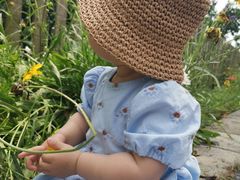 -前小桔亲子创意农场·草莓采摘·露营烧烤