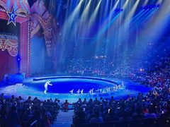 -珠海横琴长隆《卡卡虎奇遇记》