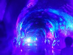 -栾川竹海野生动物园