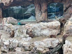-珠海长隆海洋王国