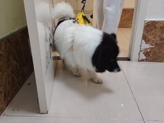 -美联众合24小时·皮肤科·外科·全科诊疗中心(华苑分院)