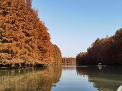 -上海海湾国家森林公园
