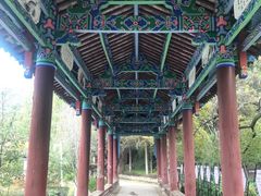-黑龙潭公园