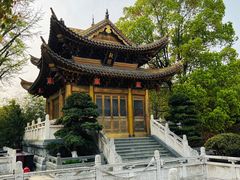 -上海东林寺(金山区)