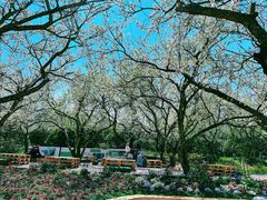 -名花谷生态庄园