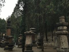 -四门塔风景区