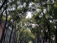 -四川大学(望江校区)