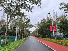 -上海长兴岛郊野公园