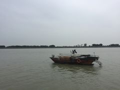 -大湾区中央湿地公园-十九涌