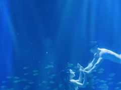 -华夏文旅海洋公园