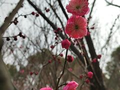 -南湖湿地公园
