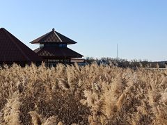 -青龙湖公园