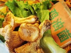 -易门野生菌府·菌海森林(月牙潭公园店)
