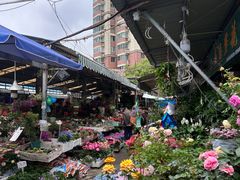 -曲阳花鸟市场(曲阳路店)