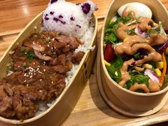 -猫小院猫主题餐厅(三里屯店)