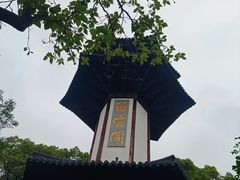 -上海佘山国家森林公园天马山园