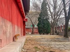 -大钟寺古钟博物馆