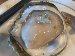 -土蚝·高压锅生蚝(百姓美食街店)