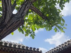 -春风习习